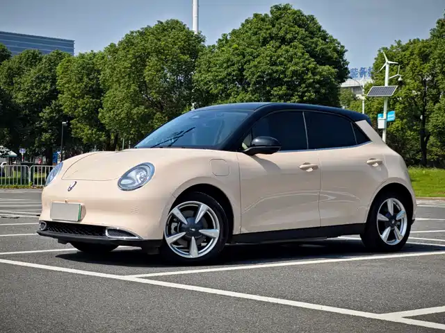 EULER  GOOD CAT 2023