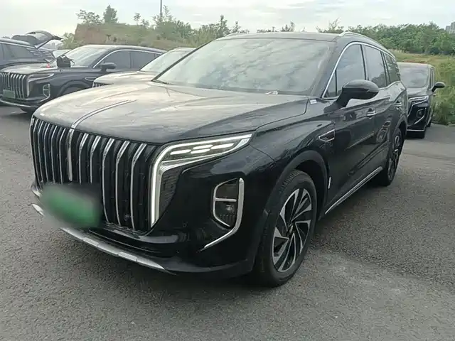 2024 Hongqi HS7
