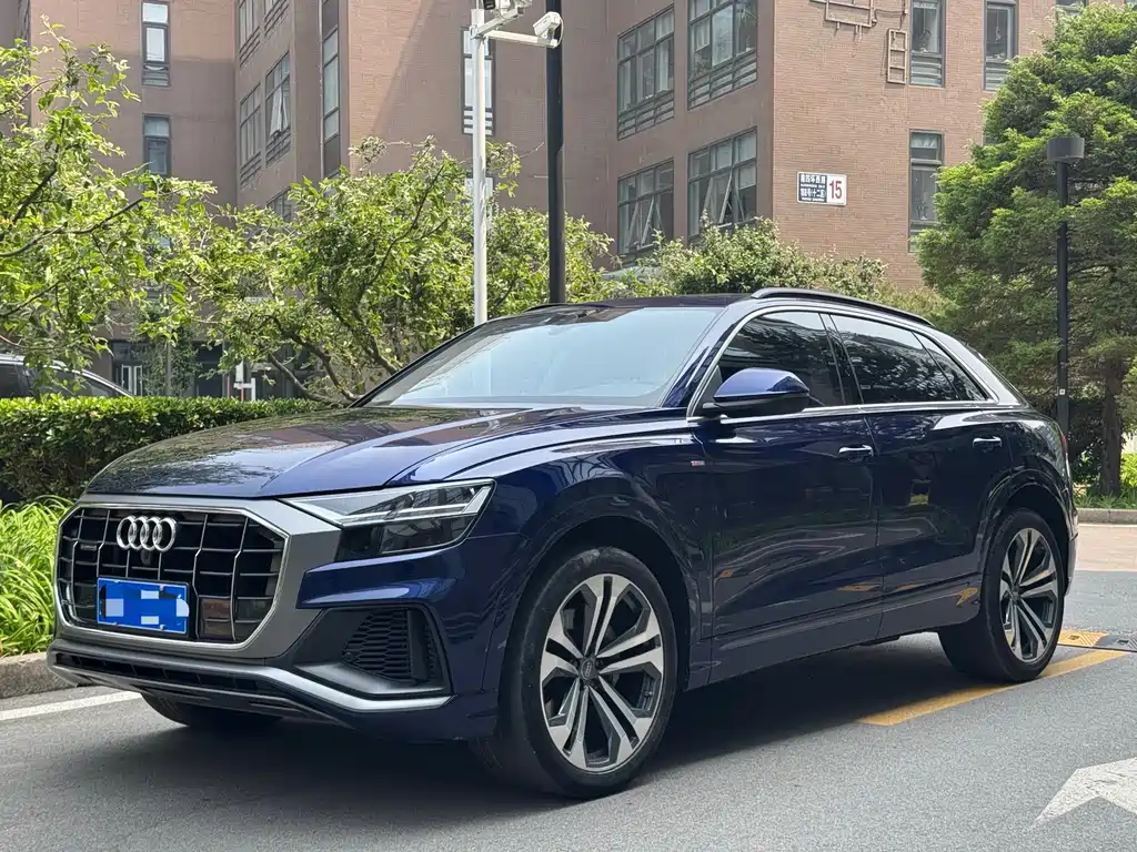 Audi Q8 2019