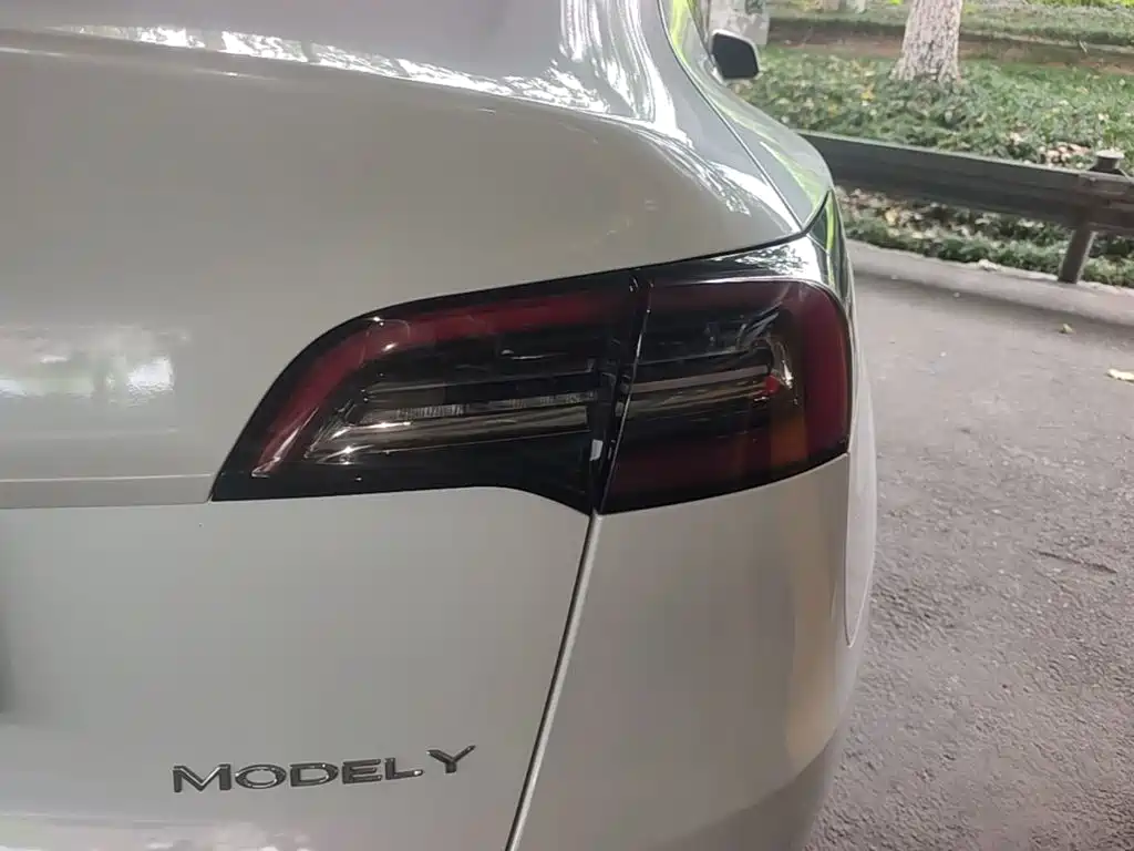 Tesla Model Y — миниатюра 8
