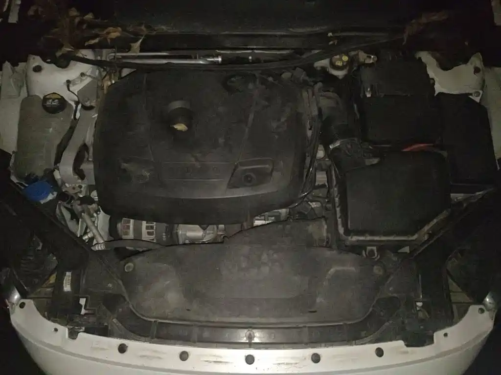 Volvo V40 — миниатюра 11