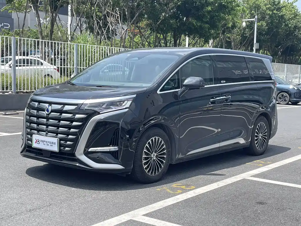 Denza Denza D9