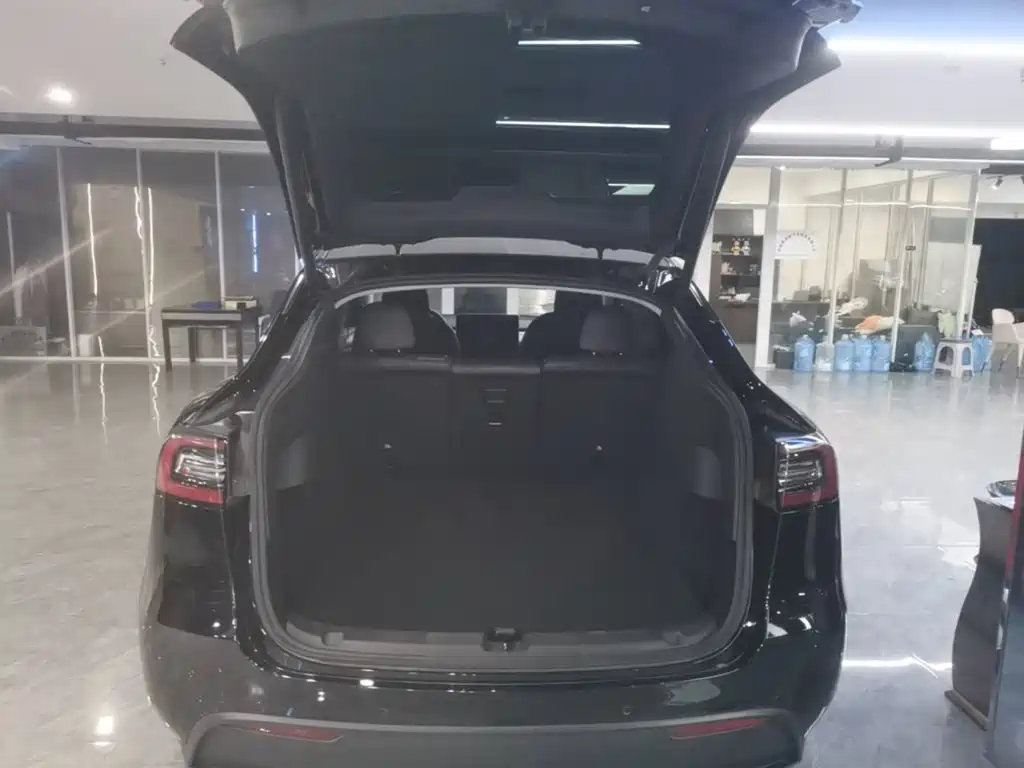Tesla Model Y — миниатюра 19