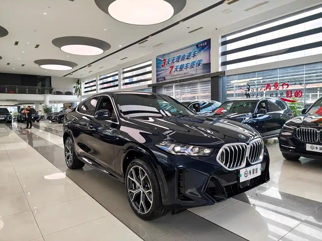 BMW X6 — миниатюра 3