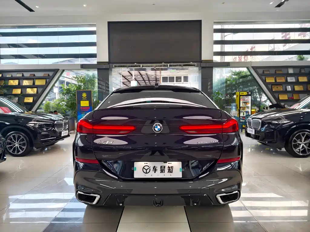 BMW X6 — миниатюра 5