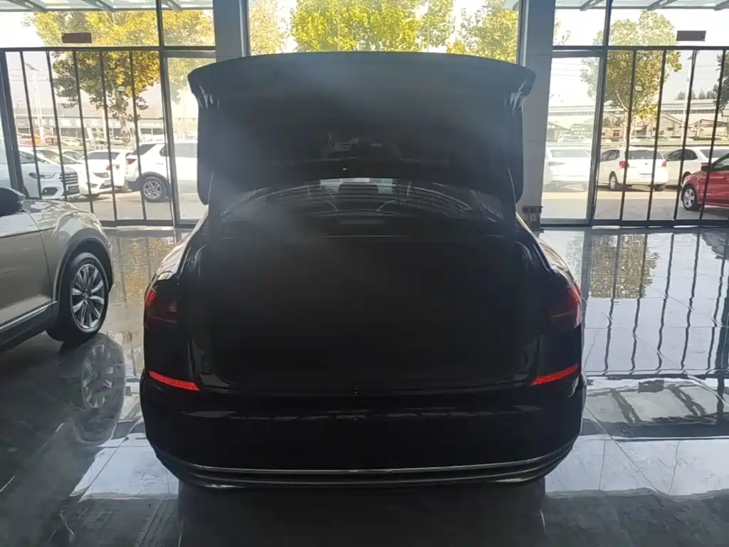 Volkswagen Passat — миниатюра 19