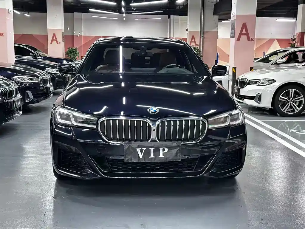 BMW 5 Series — миниатюра 2