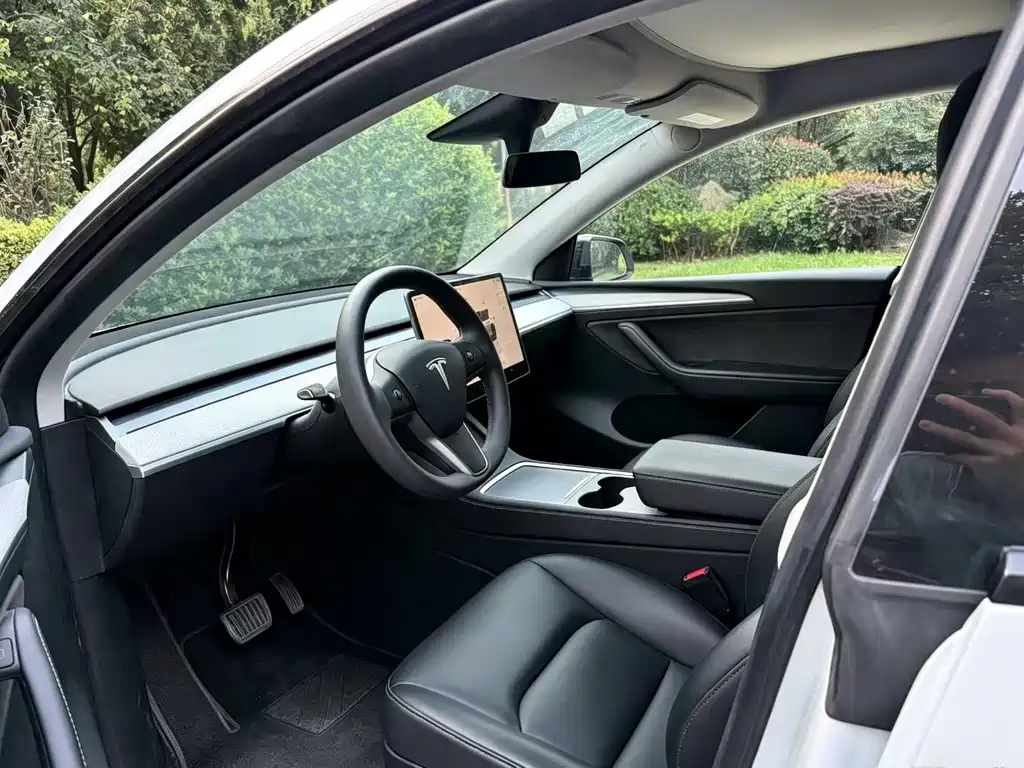 Tesla Model Y — миниатюра 4