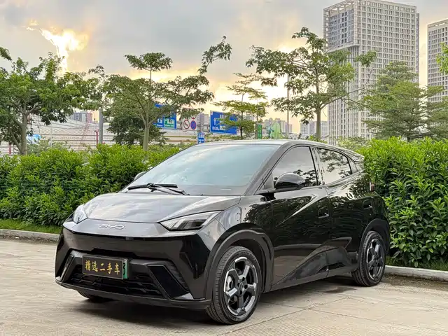 2024 BYD Seagull