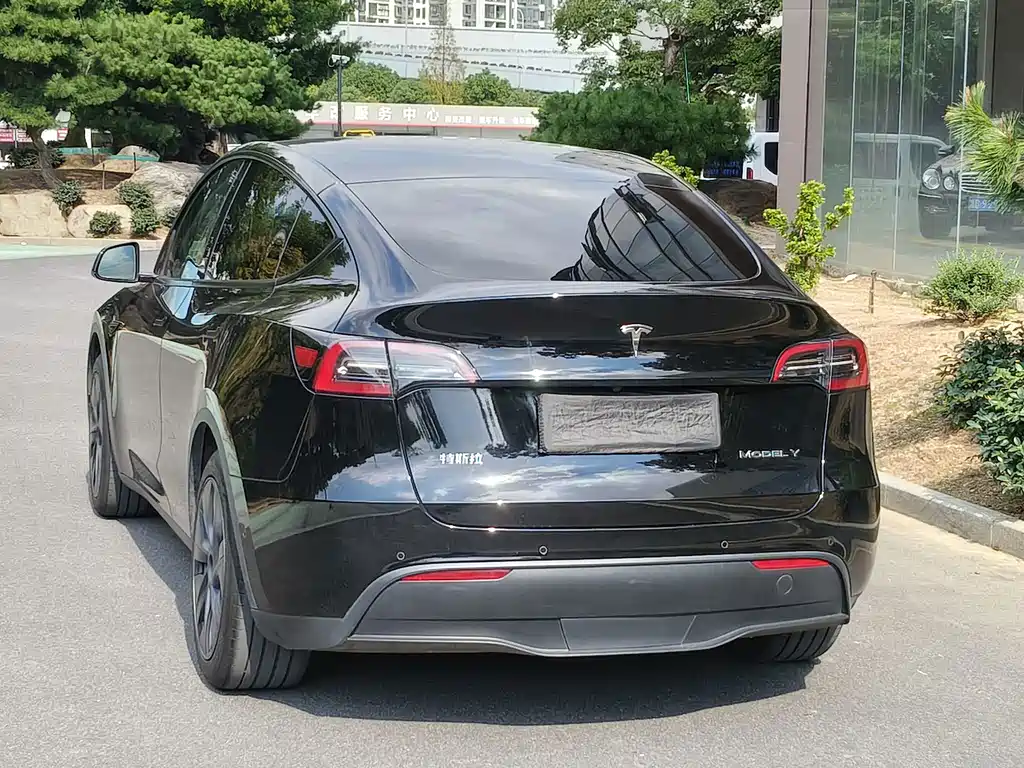 Tesla Model Y — миниатюра 18