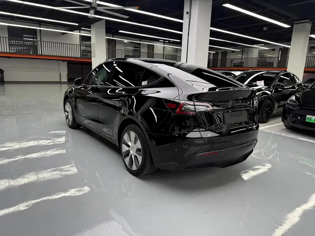 Tesla Model Y — миниатюра 13