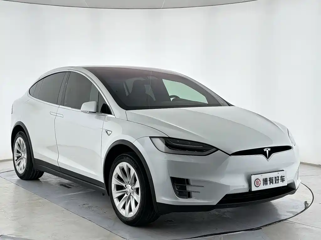 Tesla Model X — миниатюра 3