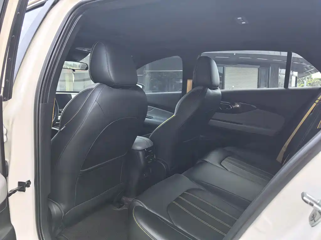 GAC Motor Shadow Leopard — миниатюра 7