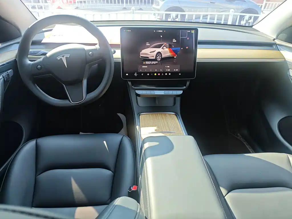 Tesla Model Y — миниатюра 6