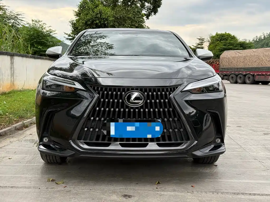 Lexus NX — миниатюра 2