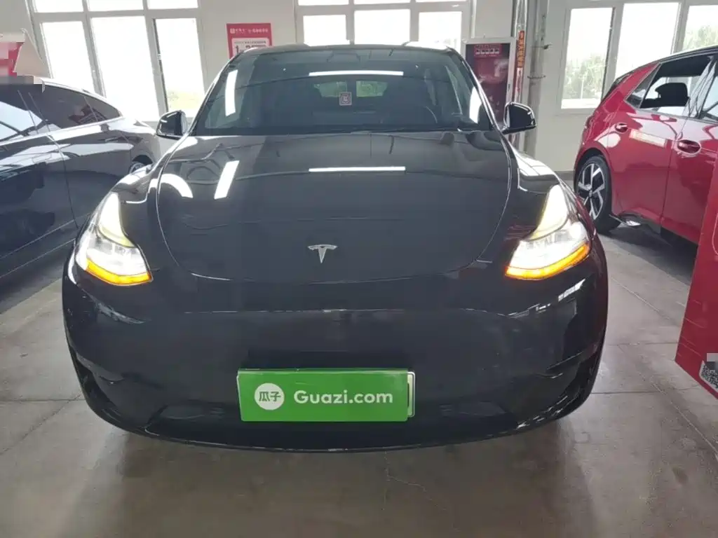 Tesla Model Y — миниатюра 3