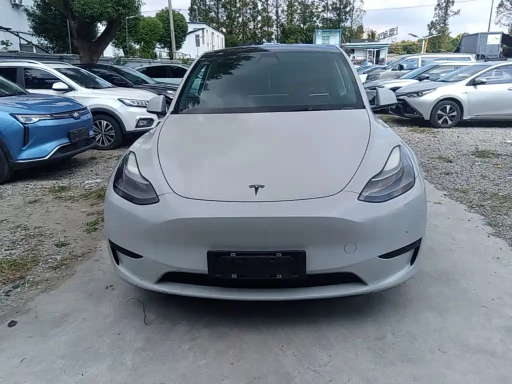 Tesla Model Y — миниатюра 3