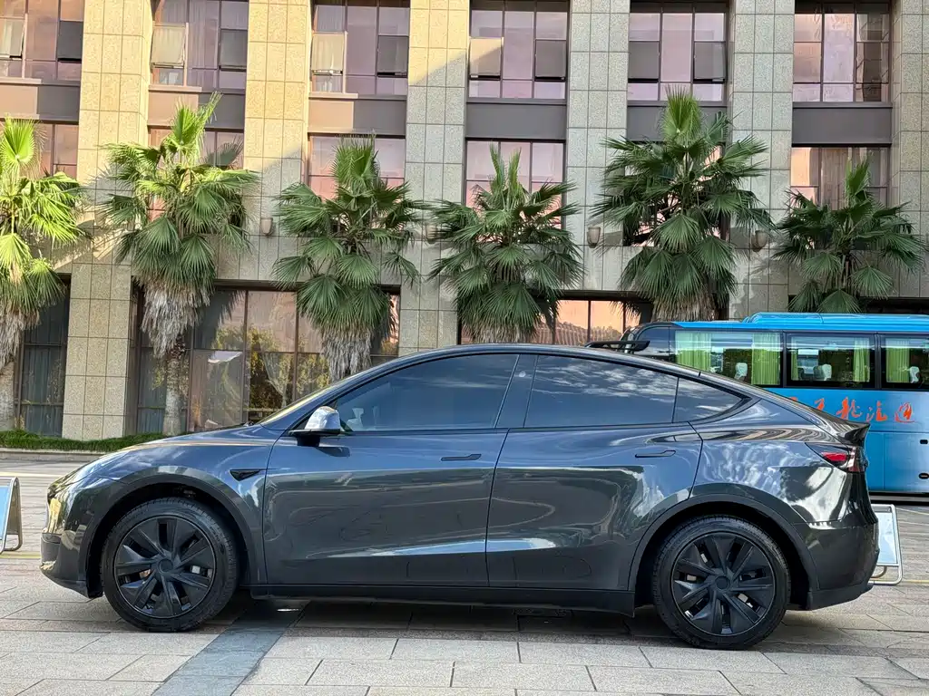 Tesla Model Y — миниатюра 5