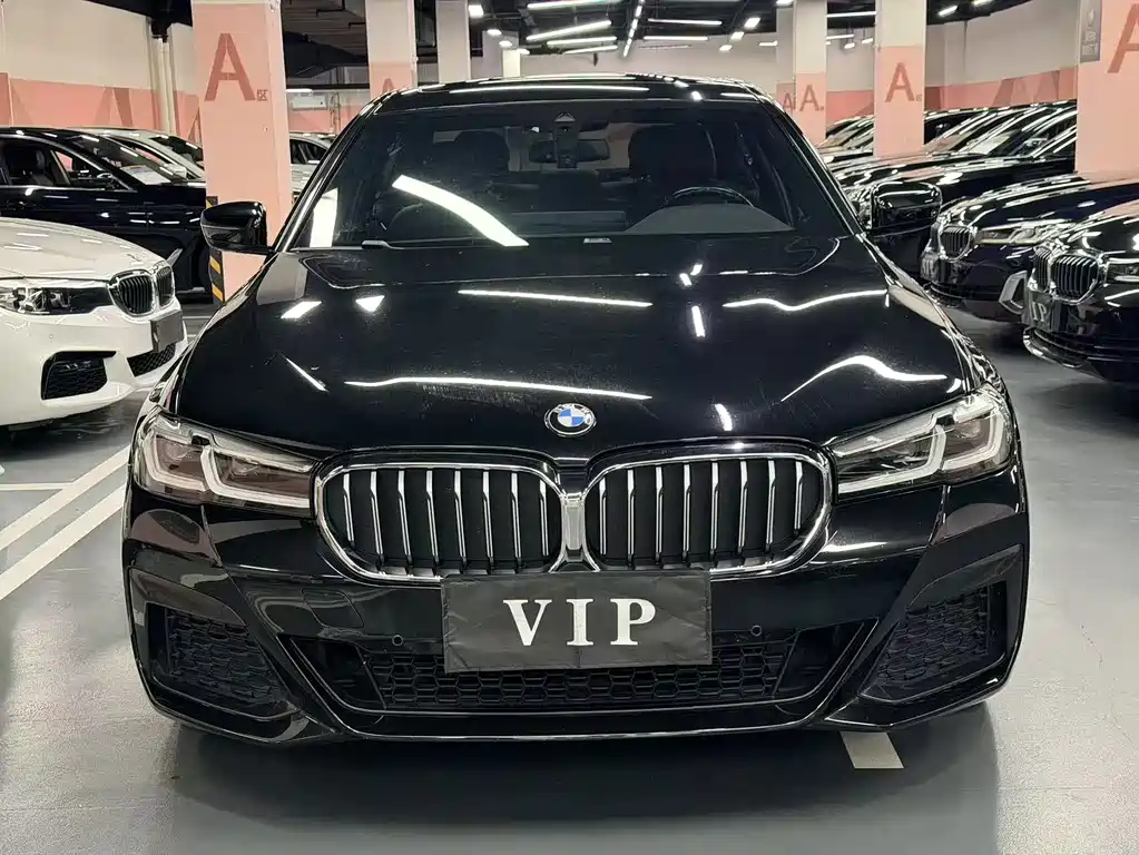 BMW 5 Series — миниатюра 2