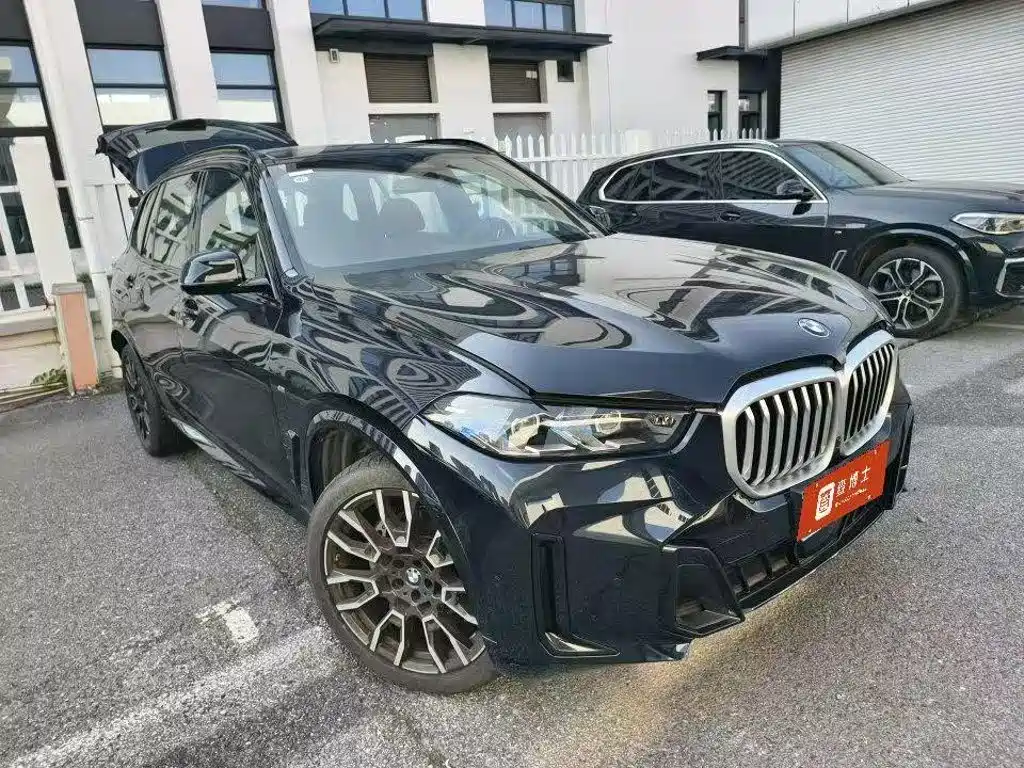 BMW X5 — миниатюра 3