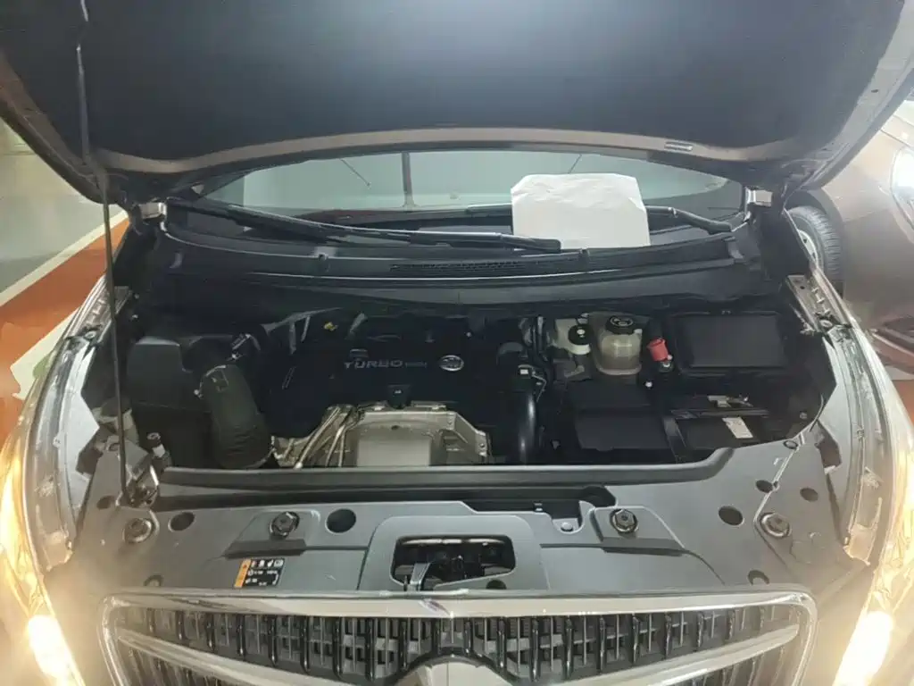 Buick GL8 — миниатюра 20