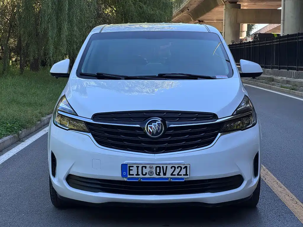 Buick GL8 — миниатюра 20