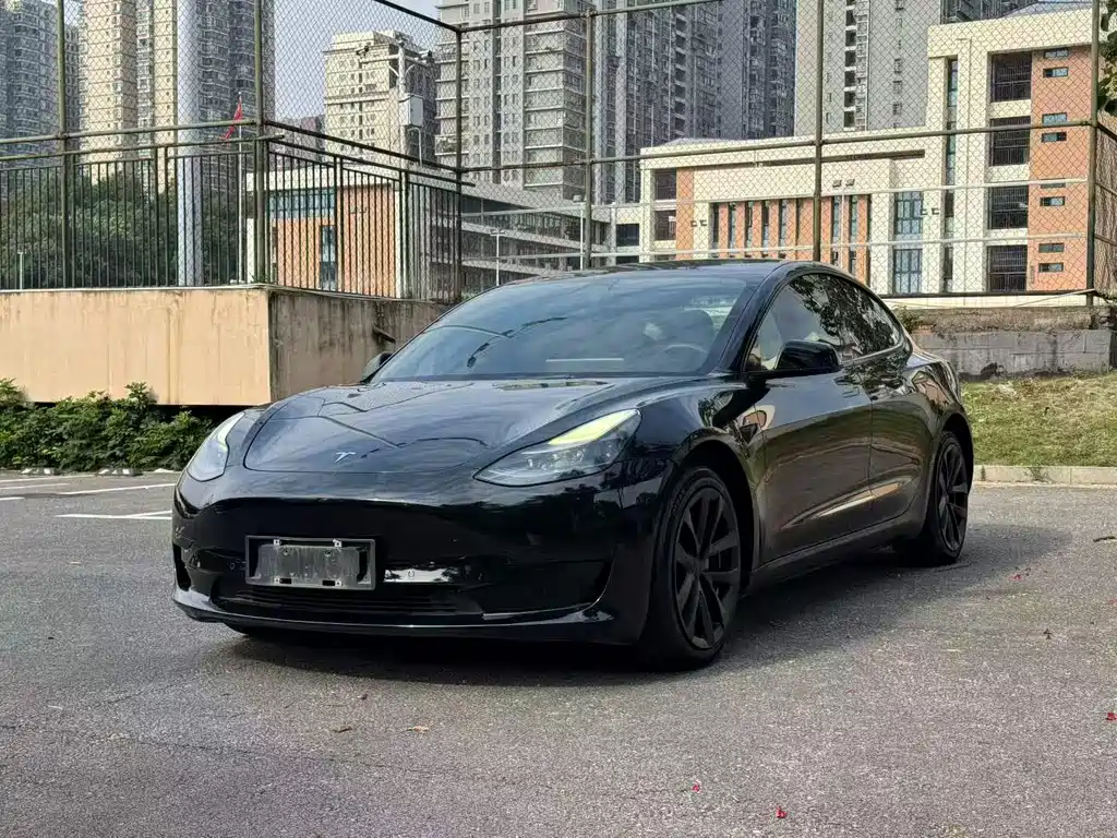 Tesla Model 3 — миниатюра 3