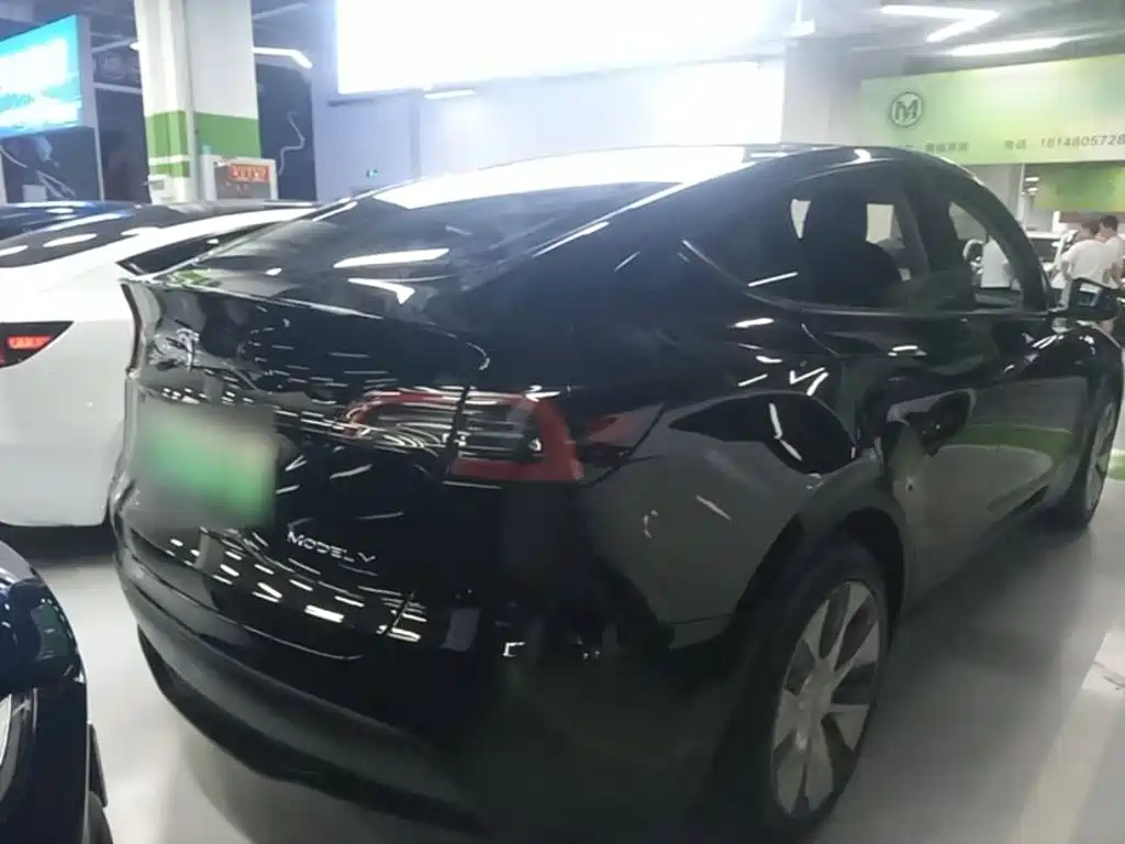 Tesla Model Y — миниатюра 7