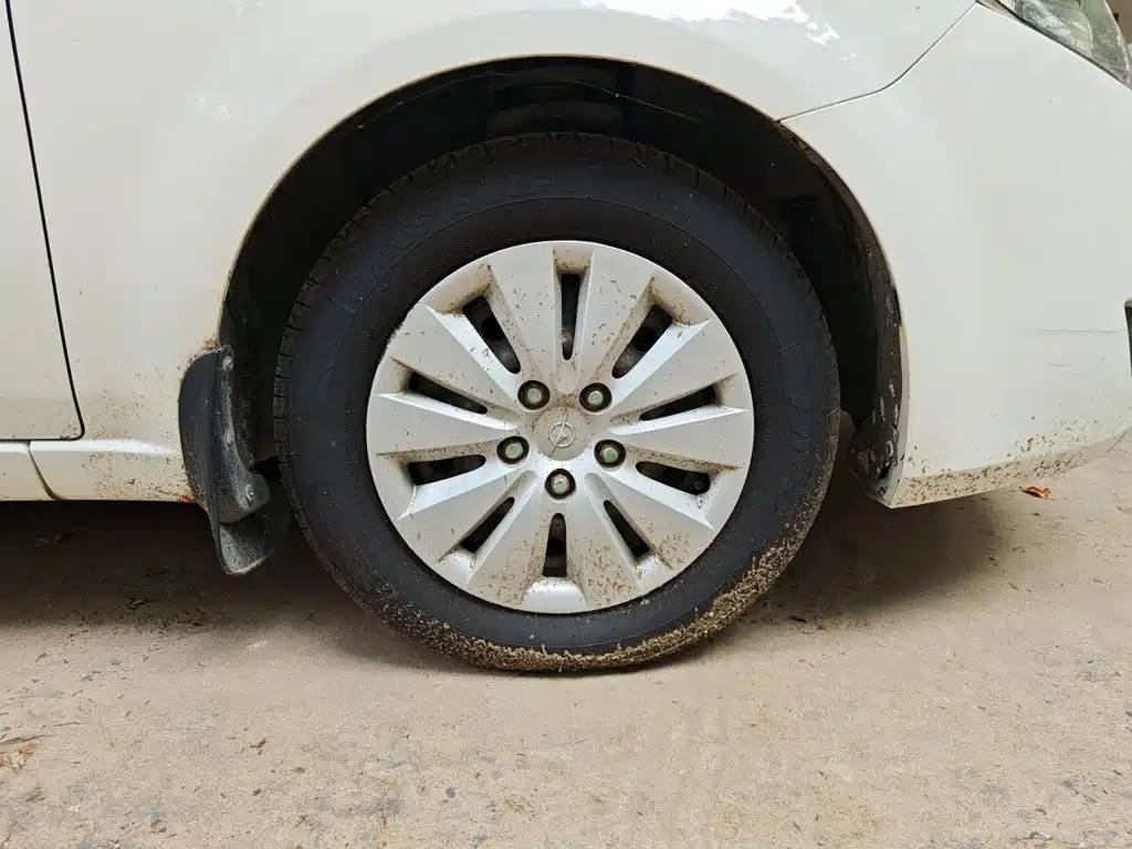 Haima Familia — миниатюра 8