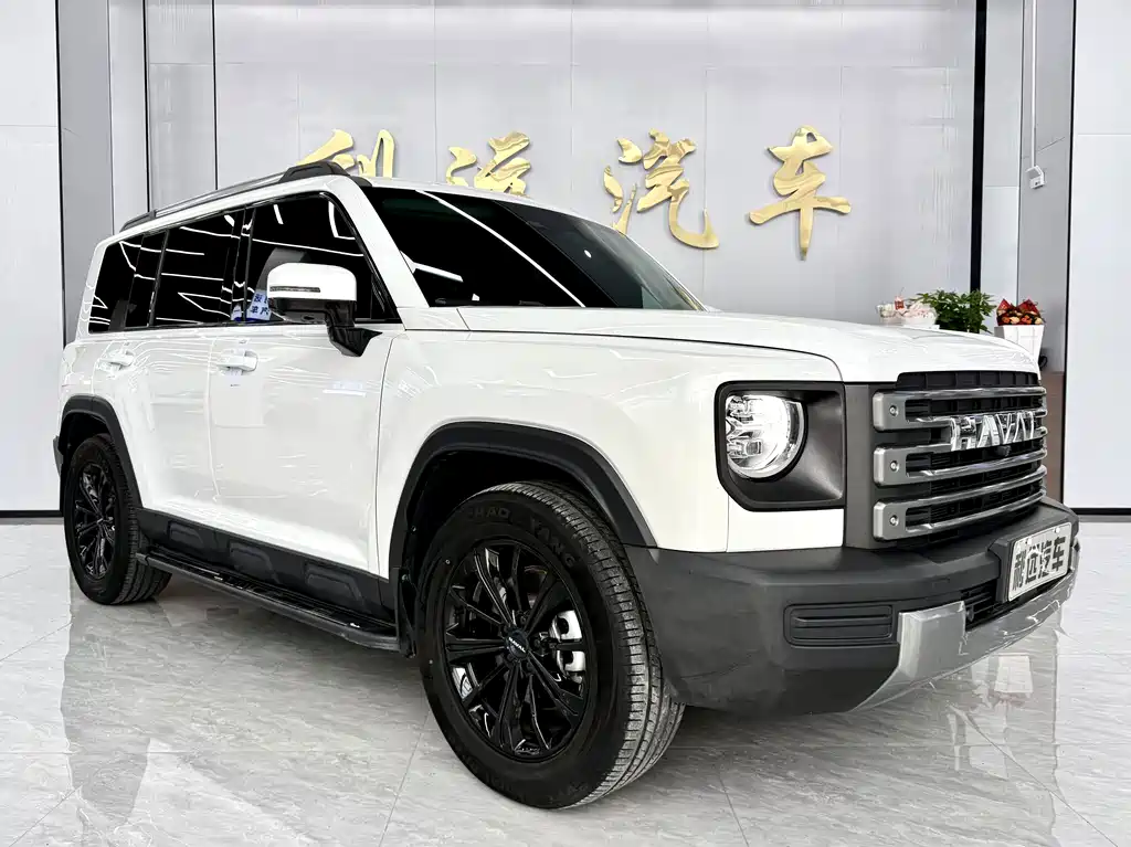 Haval Menglong New Energy — миниатюра 3