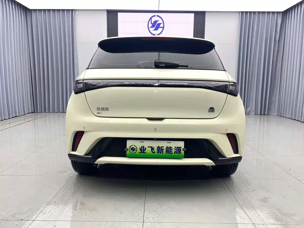 BYD Dolphin — миниатюра 5
