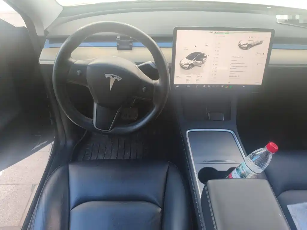 Tesla Model Y — миниатюра 11