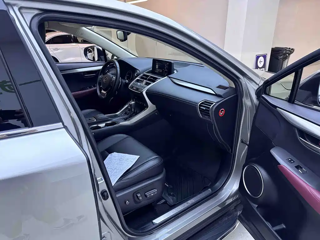 Lexus NX — миниатюра 11