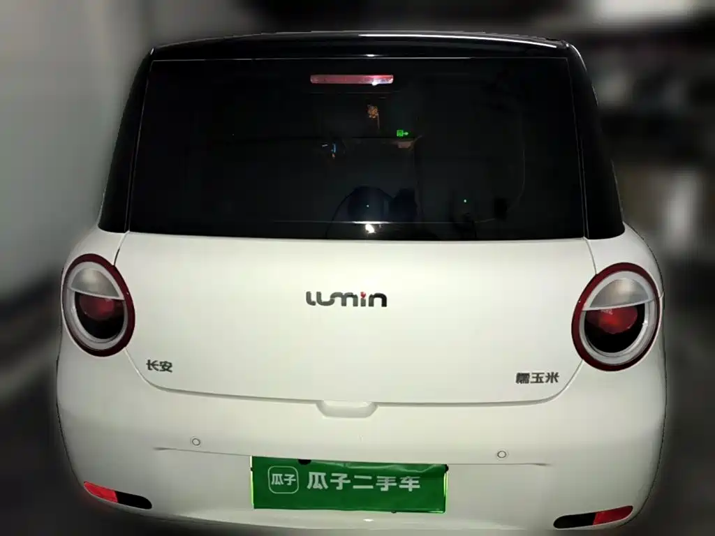 Qiyuan Lumin — миниатюра 5