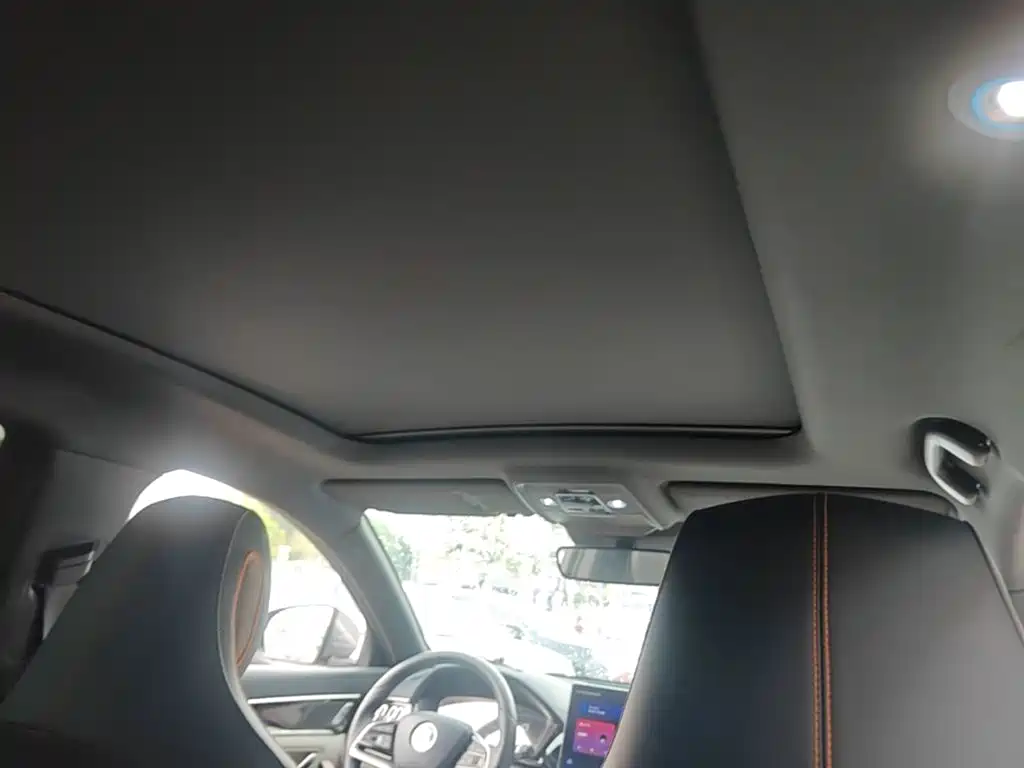 BYD PLUS New Energy — миниатюра 18