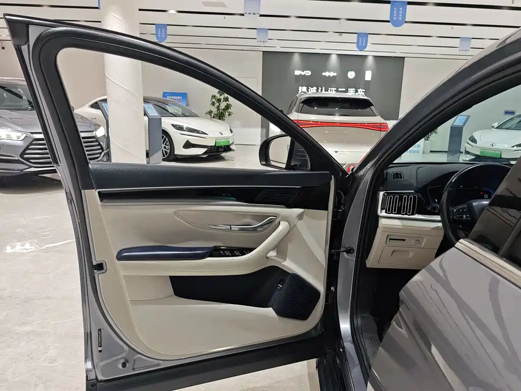 BYD PLUS New Energy — миниатюра 4