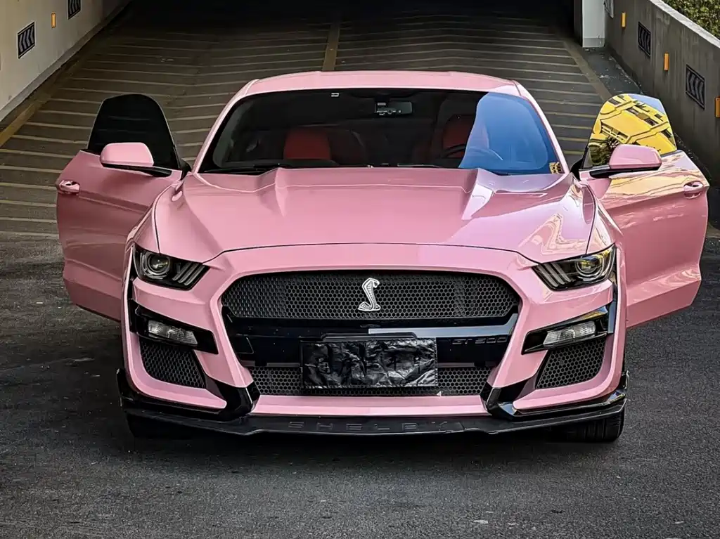 Ford Mustang — миниатюра 11