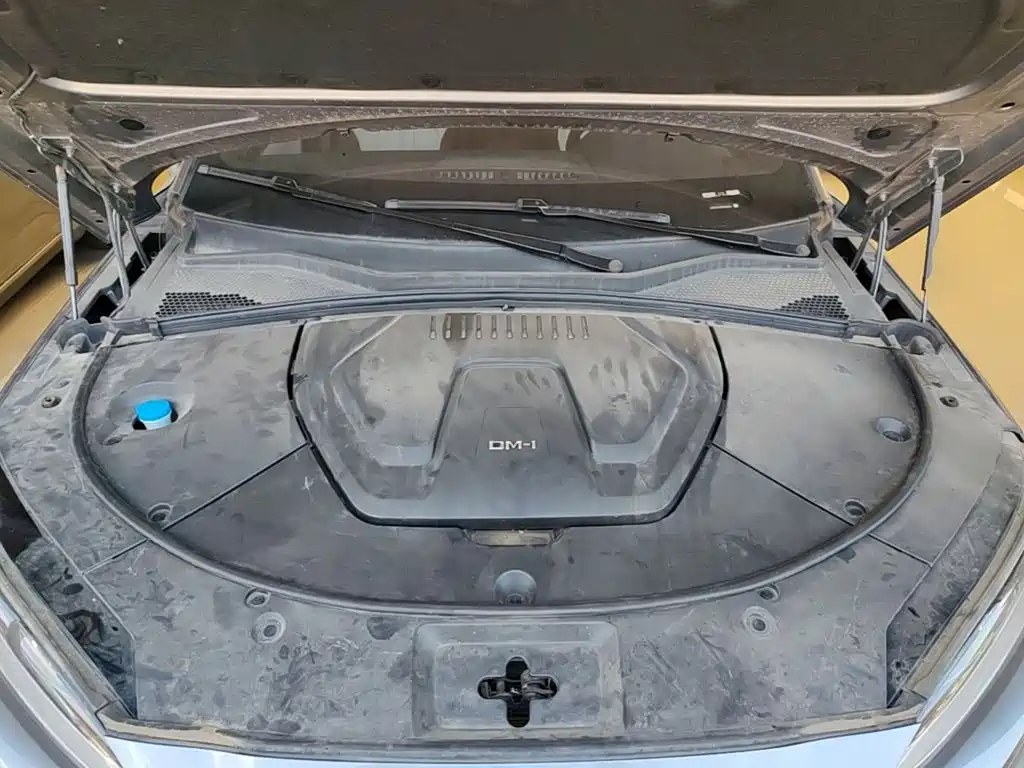 BYD PLUS New Energy — миниатюра 20