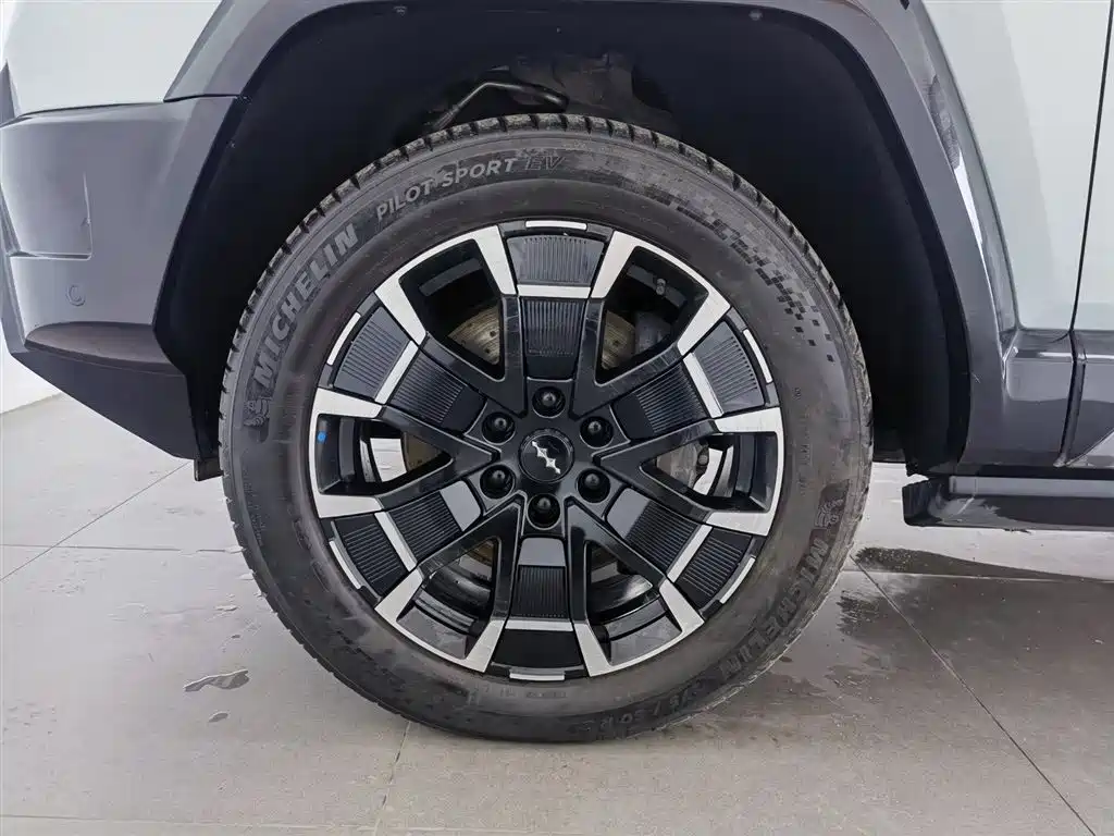 FANG CHENG BAO LEOPARD 8