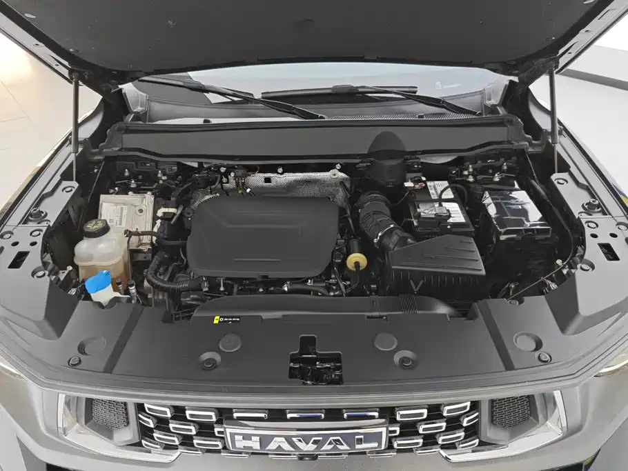 Haval Big Dog PLUS — миниатюра 10