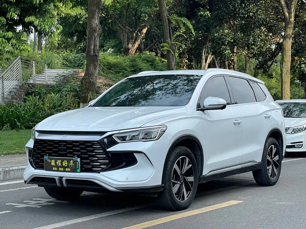 BYD Pro New Energy