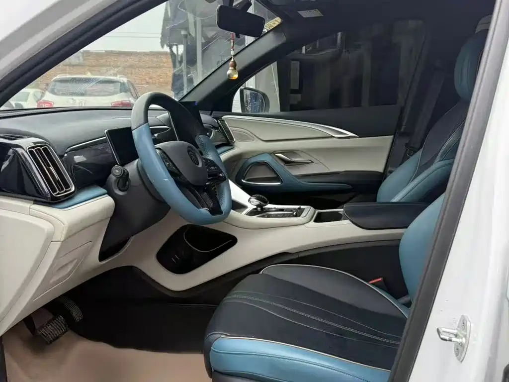 BYD Pro — миниатюра 13