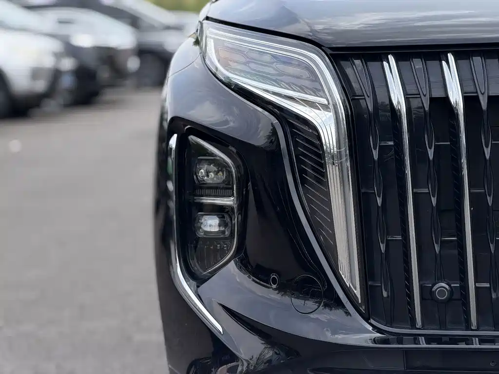 Hongqi Hongqi HS7 PHEV — миниатюра 6