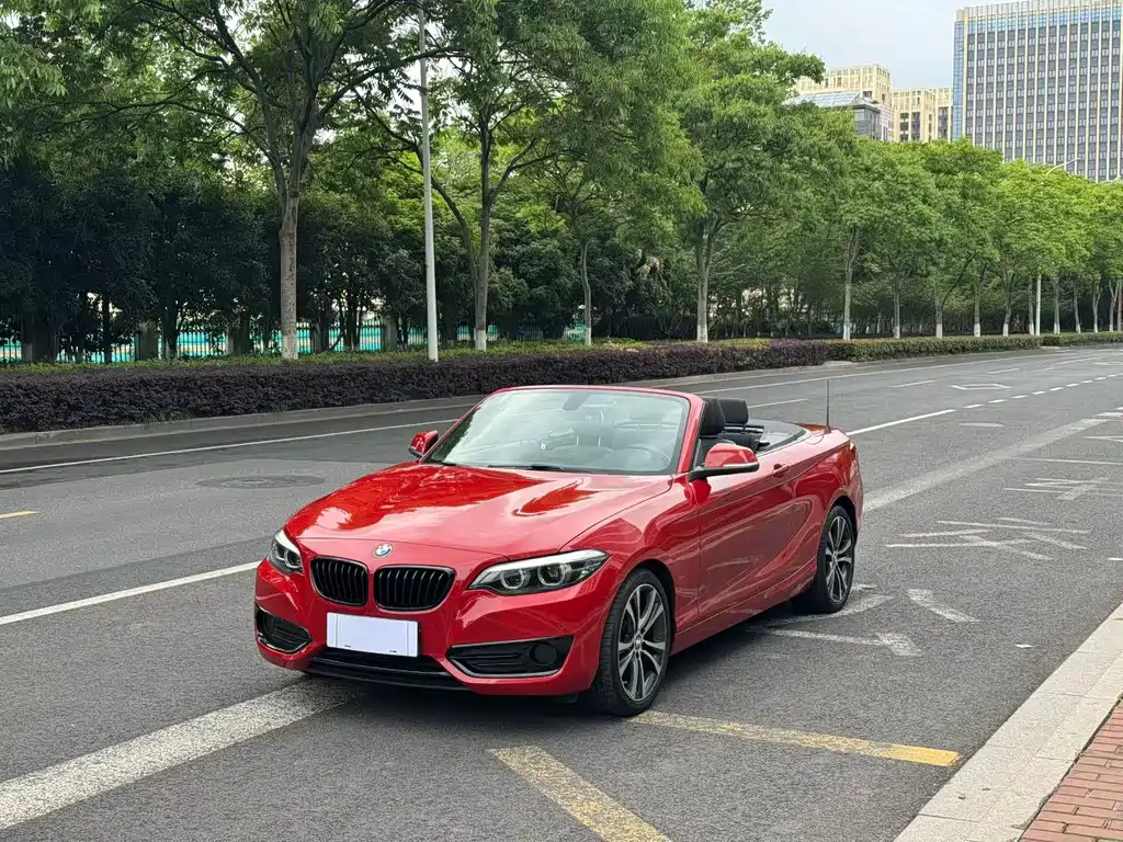 BMW 2 Series (Import) 2019