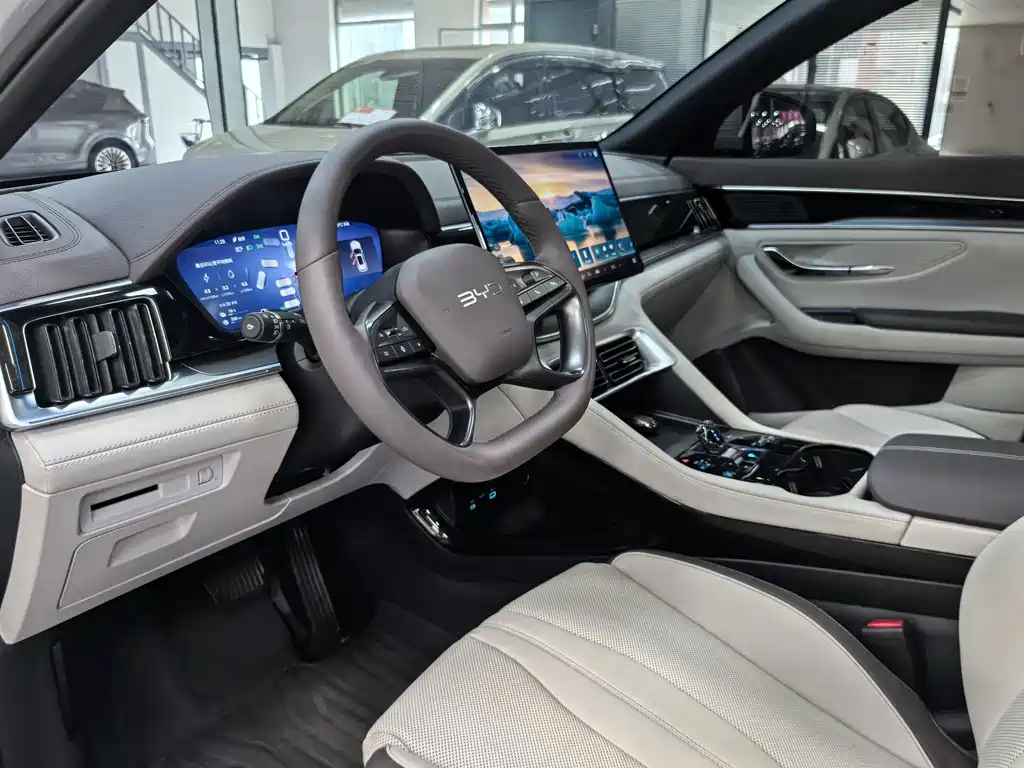 BYD PLUS New Energy — миниатюра 8