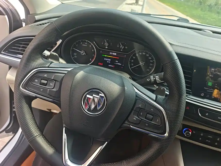 Buick Regal — миниатюра 15