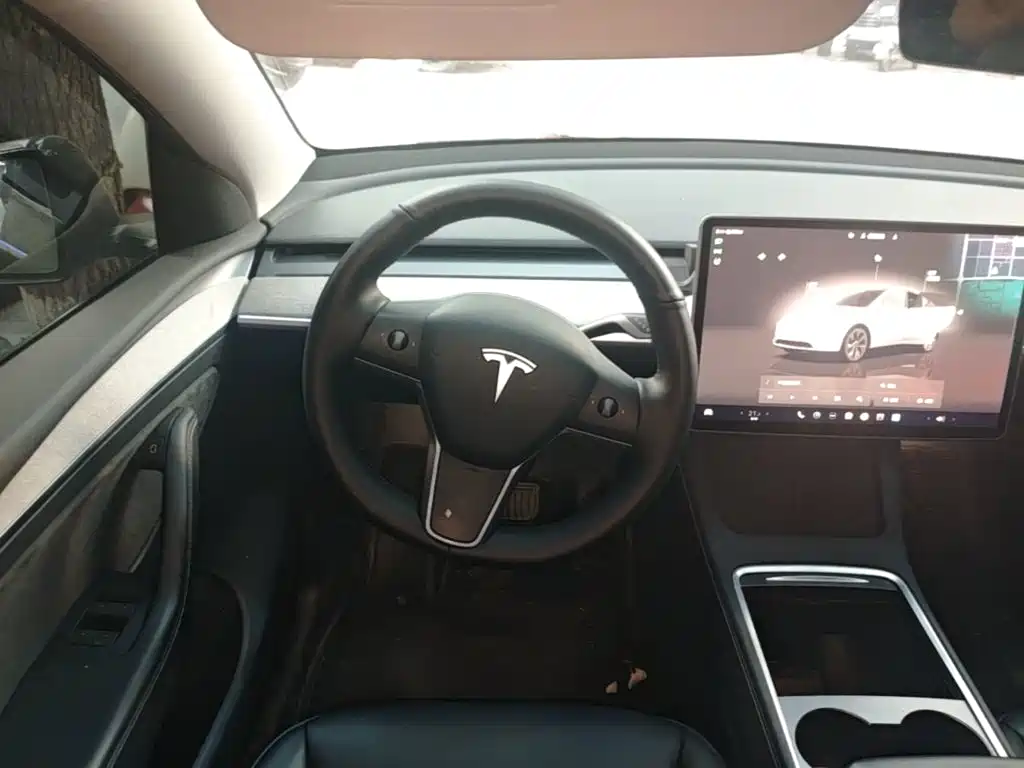 Tesla Model Y — миниатюра 11