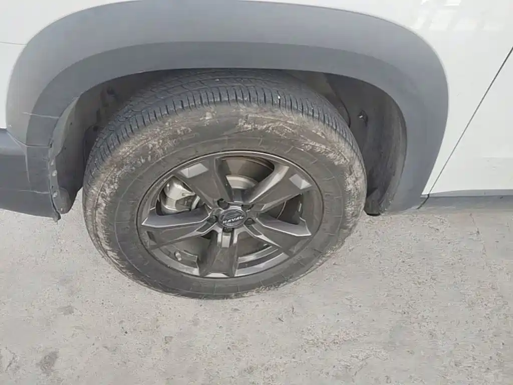 Haval Big Dog — миниатюра 23