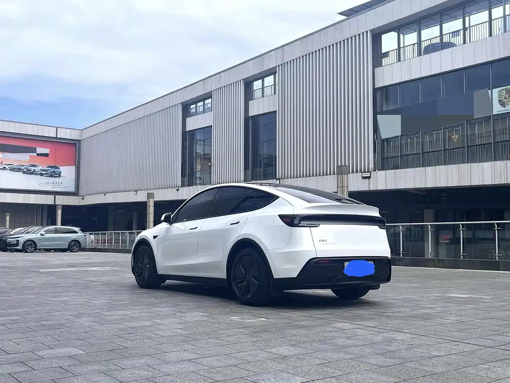 Tesla Model Y — миниатюра 6