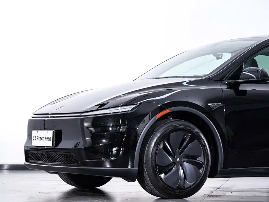 Tesla Model Y — миниатюра 3